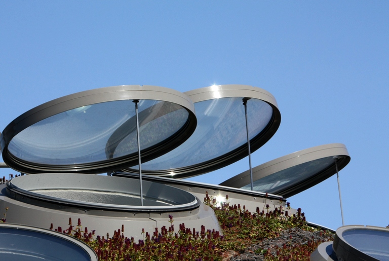 cal academy roof